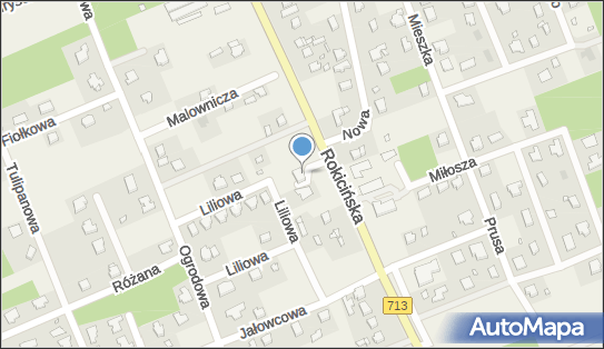 GLS - Punkt odbioru, Ul. Rokicinska 34, Bukowiec 95-006