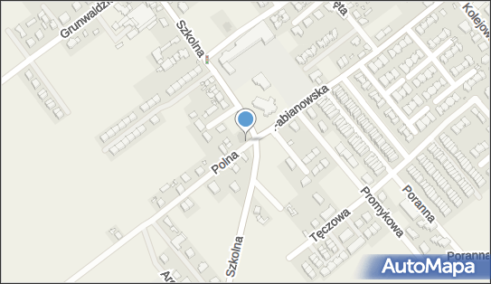 GLS - Punkt odbioru, UL. POLNA 4, Plewiska 62-064