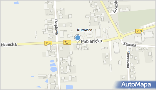 GLS - Punkt odbioru, Pabianicka 3A, Kurowice 95-006