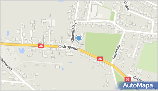 GLS - Punkt odbioru, OSTROWSKA 155, Krotoszyn 63-700