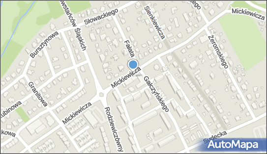 GLS - Punkt odbioru, MICKIEWICZA 41-41A, Nysa 48-304