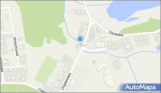 GLS - Punkt odbioru, UL. DOPIEWSKA 8B ., Lusówko 62-080