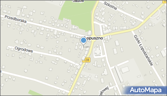 GLS - Punkt odbioru, WLOSZCZOWSKA 5, Lopuszno 26-070