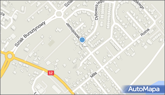 GLS - Punkt odbioru, Braci Niemojowskich 65, Kalisz 62-800