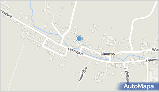 GLS - Punkt odbioru, Ul. Wesola 3, Ustron 43-450