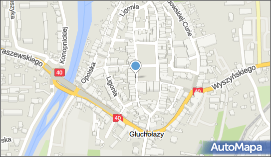 GLS - Punkt odbioru, Rynek 22, Glucholazy 48-340