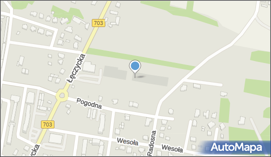 GLS - Punkt odbioru, Radosna 41, Poddębice 99-200