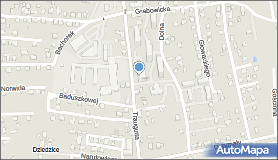 GLS - Punkt odbioru, Traugutta 20, Czechowice-Dziedzice 43-502