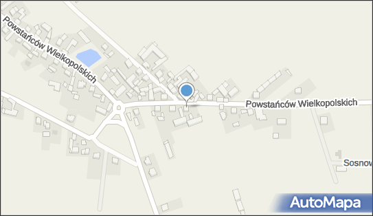 GLS - Punkt odbioru, POWSTANCOW WIELKOPOLSKICH 11, Wloszakowice 64-140