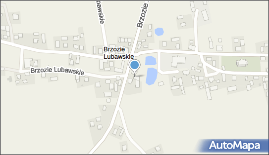 GLS - Punkt odbioru, BRZOZIE LUBAWSKIE 36, Brzozie Lubawskie 13-306