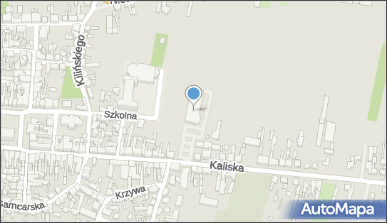 GLS - Punkt odbioru, Kaliska 31, Pleszew 63-300