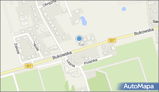 GLS - Punkt odbioru, Bukowska 10, Sieroslaw 62-080