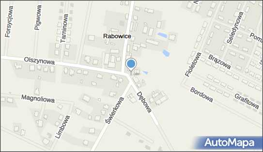 GLS - Punkt odbioru, UL. DĘBOWA 1B, Rabowice 62-020