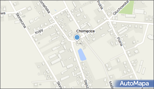 GLS - Punkt odbioru, UL. POZNAŃSKA 93, Chomęcice 62-052