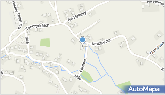 GLS - Punkt odbioru, Krakowska 12, Brzoskwinia 32-084