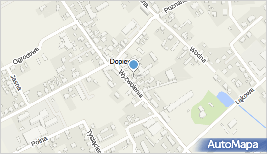 GLS - Punkt odbioru, WYZWOLENIA 3, Dopiewo 62-070