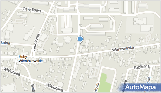 GLS - Punkt odbioru, UL. WARSZAWSKA 99, Wieruszow 98-400