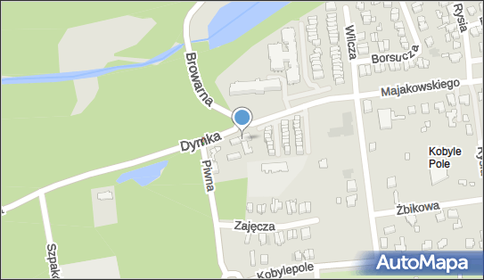 GLS - Punkt odbioru, Dymka 304, Poznań 61-066