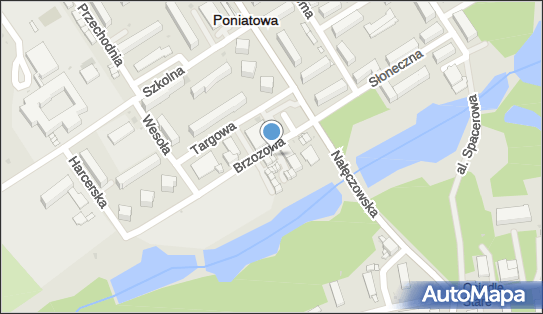 GLS - Punkt odbioru, BRZOZOWA 5, Poniatowa 24-320