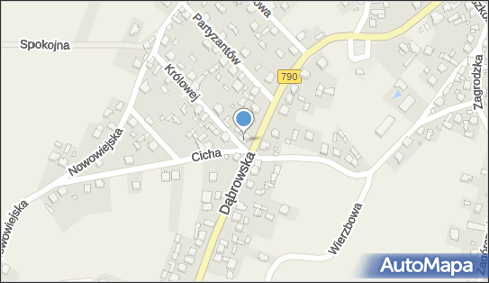 GLS - Punkt odbioru, Ul. Dabrowska 17, Niegowonice 42-454