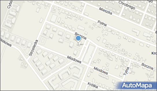 GLS - Punkt odbioru, BOCZNA 38/2, 38/3, Mosina 62-050