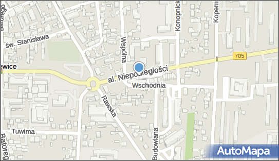 GLS - Punkt odbioru, Al. Niepodległości 6, Skierniewice 96-100