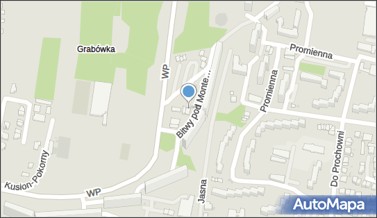 GLS - Punkt odbioru, Ul. Bitwy Pod Monte Cassino 5, Tarnow 33-100