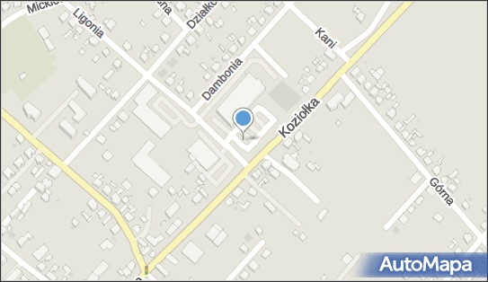 GLS - Punkt odbioru, KSIEDZA KOZIOLKA 46, Krapkowice Otmet 47-303