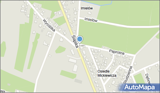 GLS - Punkt odbioru, Ul. Slaska 88, Miasteczko Slaskie 42-610