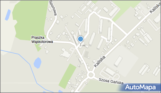 GLS - Punkt odbioru, Kopernika 8, Praszka 46-320