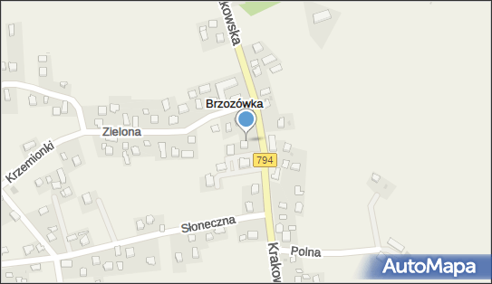 GLS - Punkt odbioru, Krakowska 37, Brzozowka 32-088