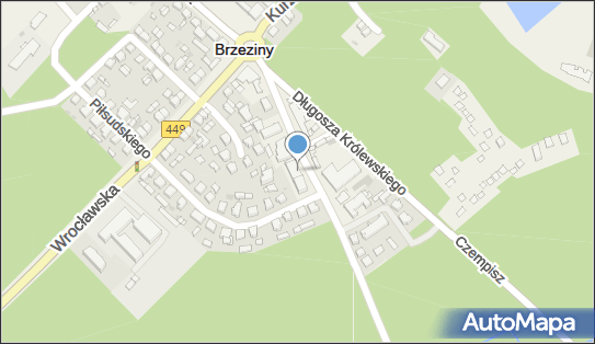 GLS - Punkt odbioru, 1000 LECIA 10, Brzeziny k. Kalisza 62-874