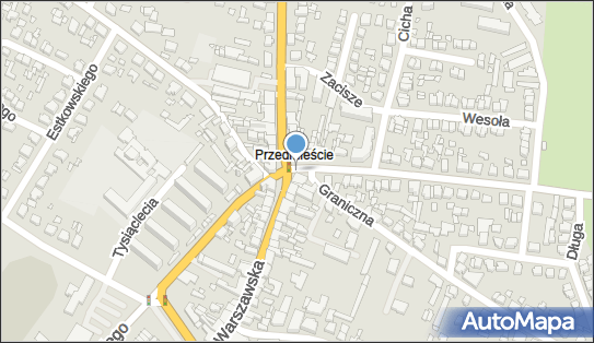 GLS - Punkt odbioru, Ul. Warszawska 78, Kepno 63-600