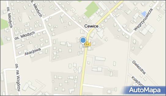 GLS - Punkt odbioru, Wincentego Witosa 41, Cewice 84-312