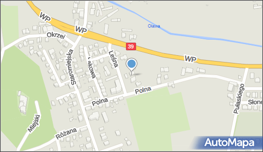 GLS - Punkt odbioru, LESNA 6, Strzelin 57-100