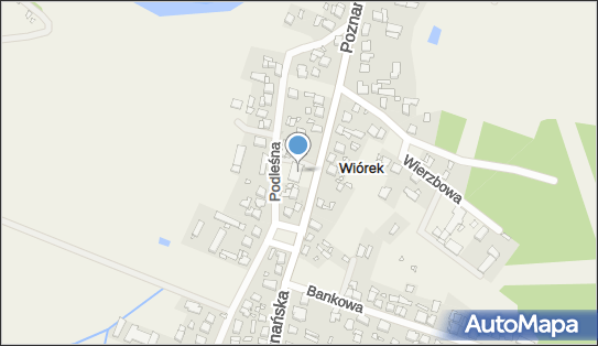 GLS - Punkt odbioru, UL. POZNAŃSKA 30, Wiórek 61-160