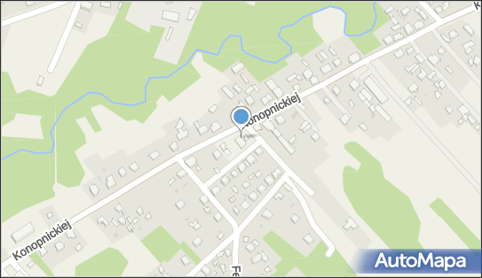 GLS - Punkt odbioru, Ul. Konopnickiej 36D, Kamienica Polska 42-260