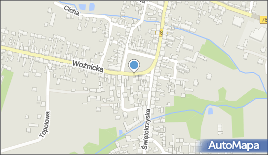 GLS - Punkt odbioru, Pl. Moniuszki 11, Kozieglowy 42-350