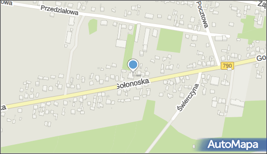 GLS - Punkt odbioru, Ul. Golonoska 58, Dabrowa Gornicza 41-300