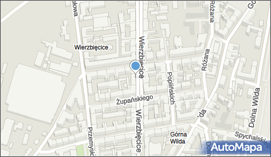 GLS - Punkt odbioru, WIERZBIECICE 25, Poznan 61-561