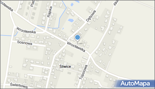 GLS - Punkt odbioru, Wroclawska 33, Sliwice 55-093