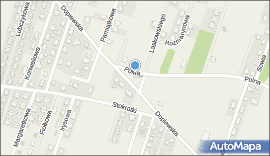 GLS - Punkt odbioru, UL. DOPIEWSKA 38 ., Gołuski 62-070