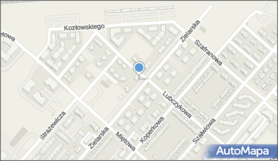 GLS - Punkt odbioru, Zielarska 35, Plewiska 62-064