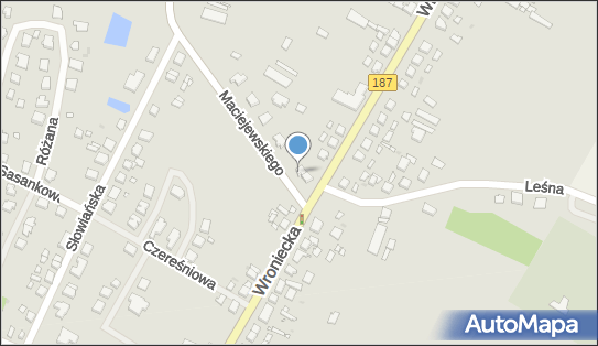 GLS - Punkt odbioru, MACIEJEWSKIEGO 1, Pniewy 62-045