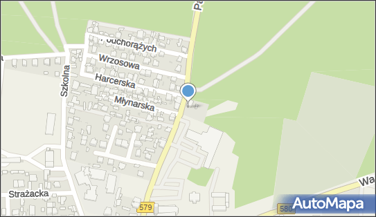 GLS - Punkt odbioru, PARTYZANTOW A 2A, Leszno k. Blonia 05-084