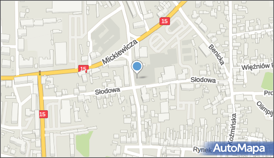 GLS - Punkt odbioru, SLODOWA 13, Krotoszyn 63-700