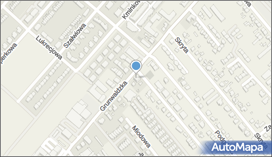 GLS - Punkt odbioru, UL. GRUNWALDZKA 506 ., Plewiska 62-064