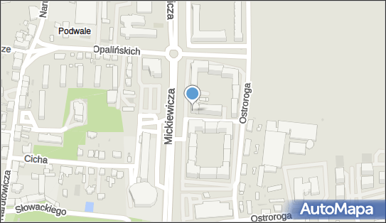 GLS - Punkt odbioru, Ul. Ostroroga 42 Lok. 5 ., Leszno 64-100