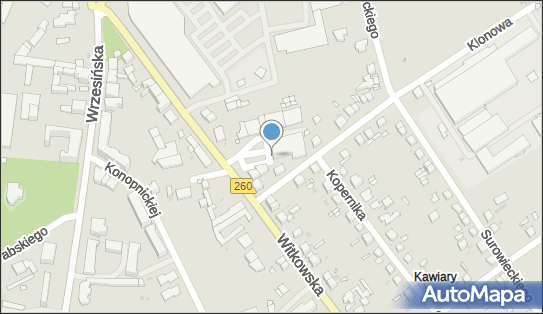 GLS - Punkt odbioru, WITKOWSKA 11, Gniezno 62-200