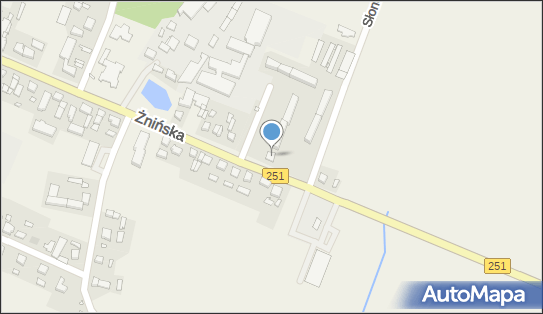 GLS - Punkt odbioru, UL. ZNINSKA 17B, Damaslawek 62-110